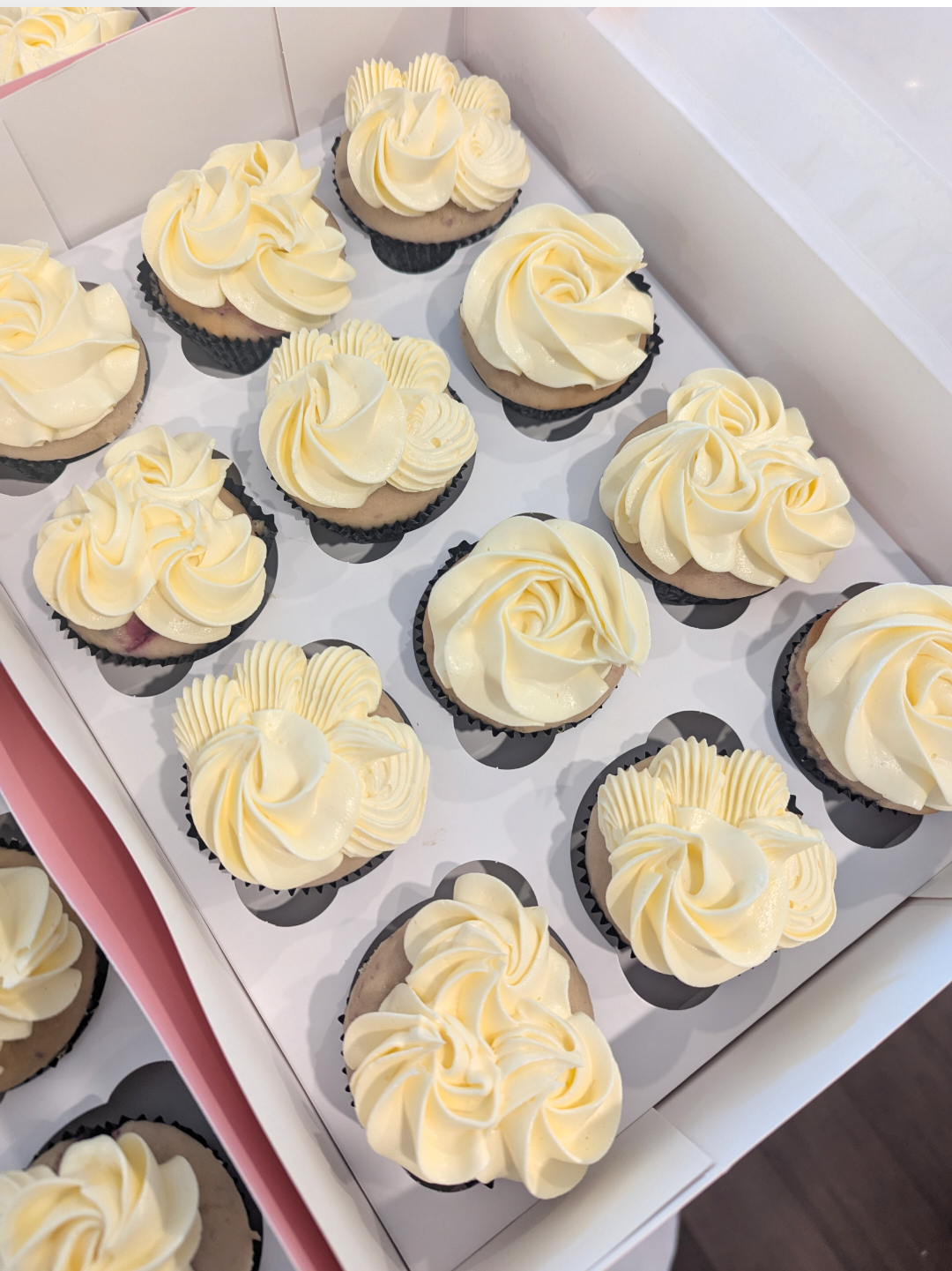 Plain iced cupcake boxes